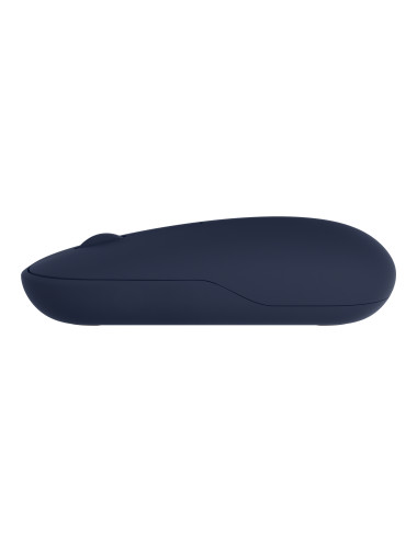 Asus Wireless Mouse MD100 Wireless, Blue, Bluetooth