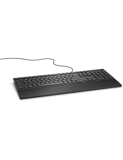 Dell KB216 Multimedia, Wired, US, Black, Numeric keypad, 503 g