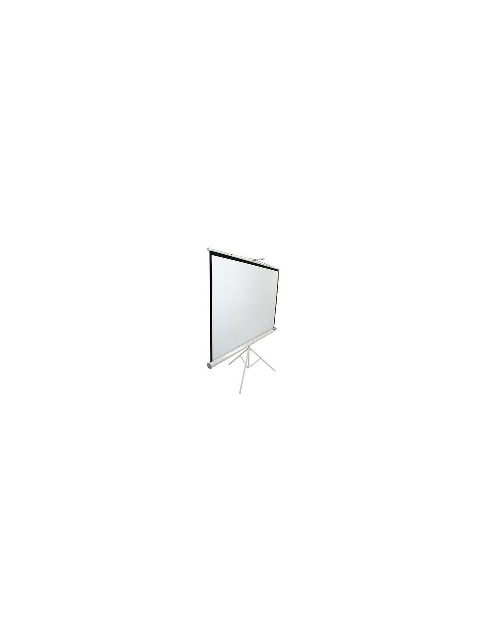 Elite Screens Tripod Series T113NWS1 Diagonal 113 ", 1:1, Viewable screen width (W) 203 cm, White