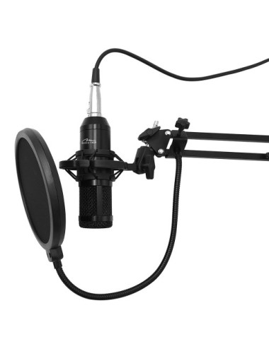 Microphone with accessories...