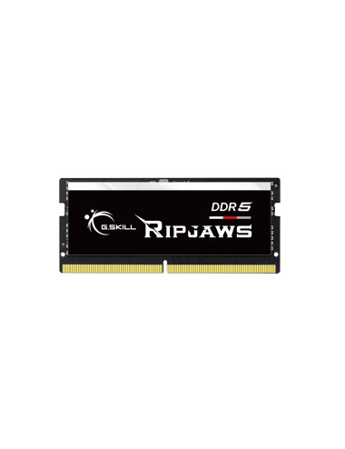 G.Skill Ripjaws 16 GB, DDR5, 4800 MHz, Notebook, Registered No, ECC No, 1x16 GB