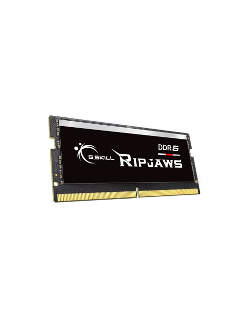 G.Skill Ripjaws 64GB (32GBx2) GB, DDR5, 4800 MHz, Notebook, Registered No, ECC No, 2x32 GB