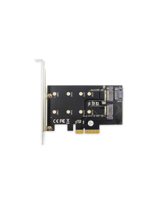 Digitus M.2 NGFF / NVMe SSD PCI Express 3.0 (x4) Add-On Card DS-33170