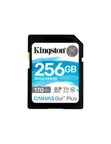 Kingston Canvas Go! Plus 256 GB Flash memory class 10