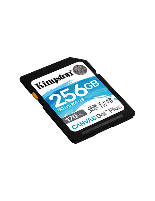 Kingston Canvas Go! Plus 256 GB Flash memory class 10