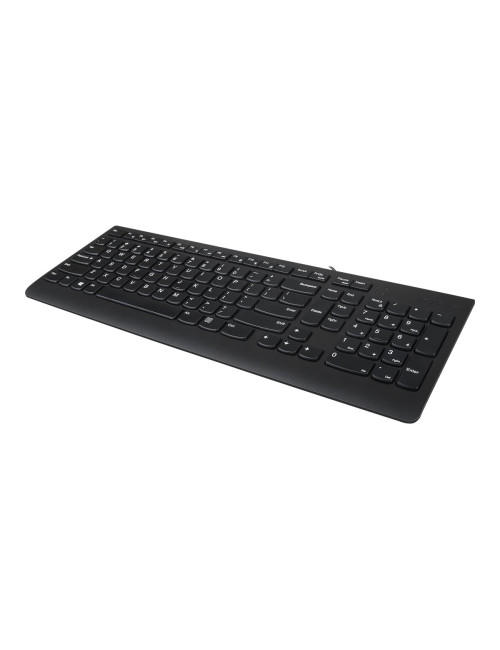 Lenovo USB Keyboard 300 Standard Wired Complete ergonomic design. Spill resistant keys with board drain. Concaved key caps fitte