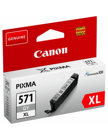 Canon Ink Grey