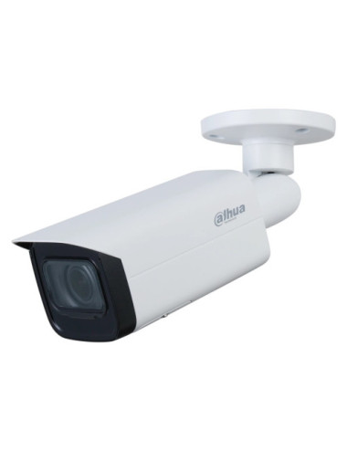 Dahua IP Camera...