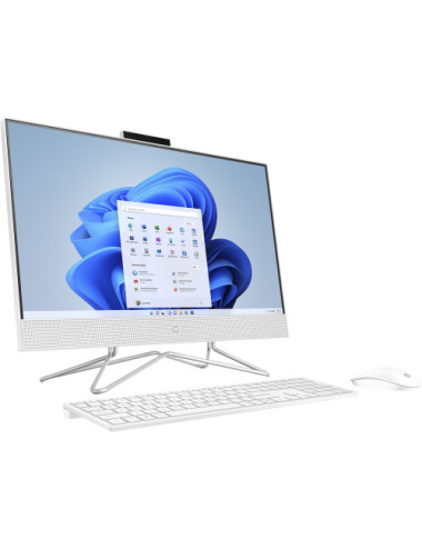HP All-in-One 24-df1000nw...