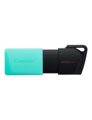 MEMORY DRIVE FLASH USB3.2/64GB DTXM/64GB KINGSTON