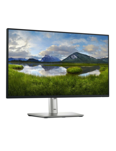 DELL P Series P2425HE...