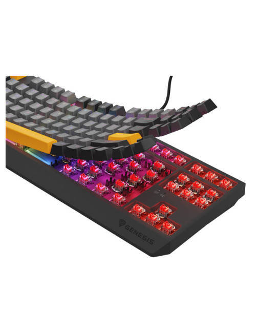 THOR 230 | Mechanical Gaming Keyboard | Wired | US | Anchor Gray Negative | USB Type-A | Outemu Red