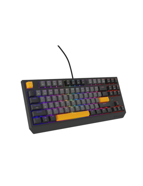 THOR 230 | Mechanical Gaming Keyboard | Wired | US | Anchor Gray Negative | USB Type-A | Outemu Red