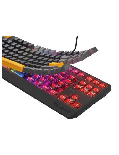 THOR 230 | Mechanical Gaming Keyboard | Wired | US | Anchor Gray Positive | USB Type-A | Outemu Red