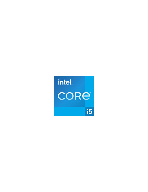 INTEL Core i5-13400 2.5Ghz FC-LGA16A Box