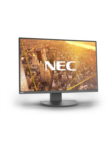 NEC MultiSync EA242WU...