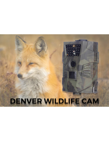 Denver Digital wildlife...