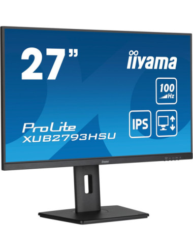 iiyama ProLite computer...