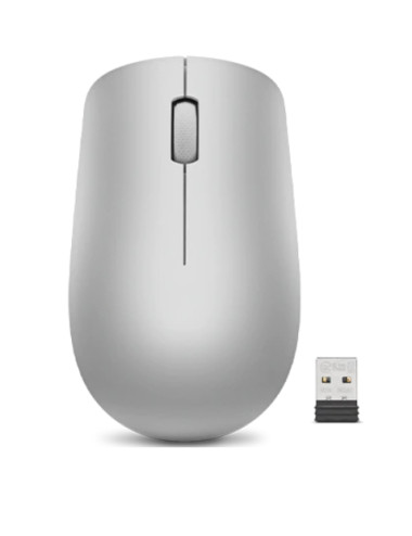 Lenovo | Wireless Mouse | 530 | Optical Mouse | 2.4 GHz Wireless via Nano USB | Platinum Grey | 1 year(s)