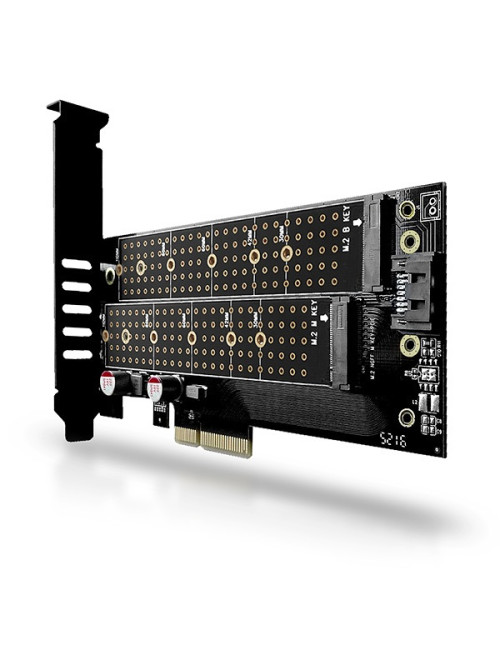 AXAGON PCI-Express x4 adapter to connect up to two M.2 disks to a computer | PCEM2-D