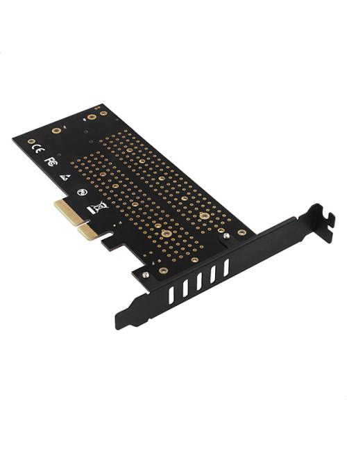 AXAGON PCI-Express x4 adapter to connect up to two M.2 disks to a computer | PCEM2-D