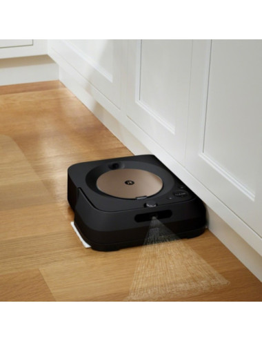 Cleaning robot iRobot...