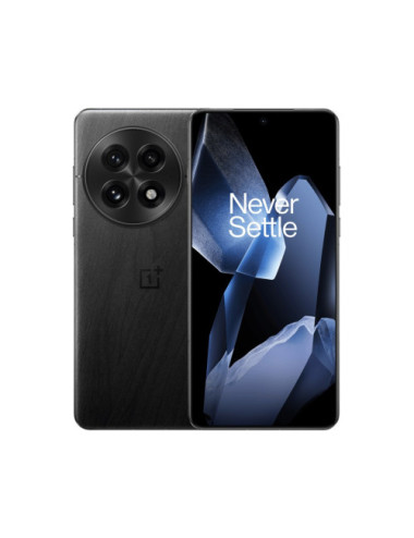 OnePlus 13 17.3 cm (6.82")...