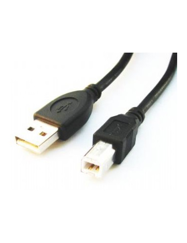 Cablexpert | CCP-USB2-AMBM-6 | USB-A to USB-B USB A | USB B