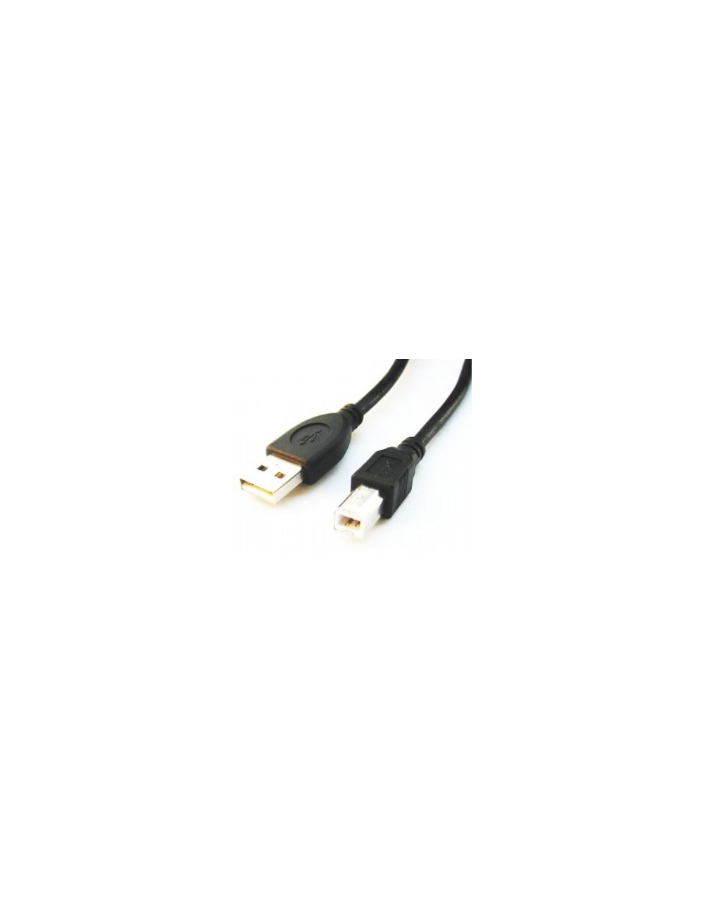 Cablexpert | CCP-USB2-AMBM-6 | USB-A to USB-B USB A | USB B