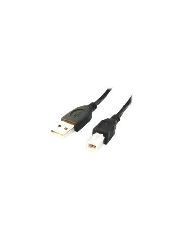 Cablexpert | CCP-USB2-AMBM-6 | USB-A to USB-B USB A | USB B