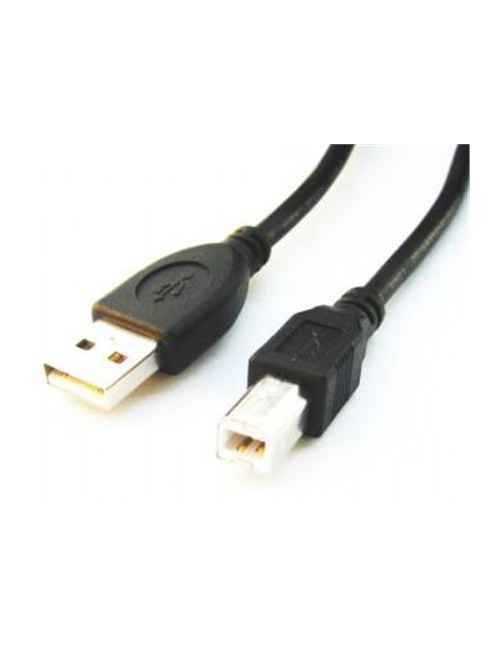 USB 2.0 A-plug B-plug 3 m (10 ft) cable with ferrite core | Cablexpert