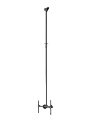 Neomounts CL35-440BL16XL Monitor/TV Mount Ceiling | Adjustable Height, Rotate, Tilt, Swivel | 37-70 " | Maximum weight (capacity