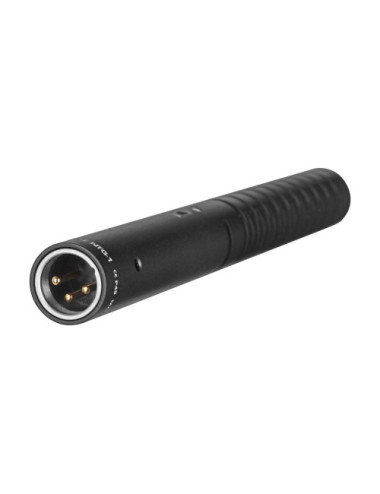 RØDE NTG1 microphone Black...