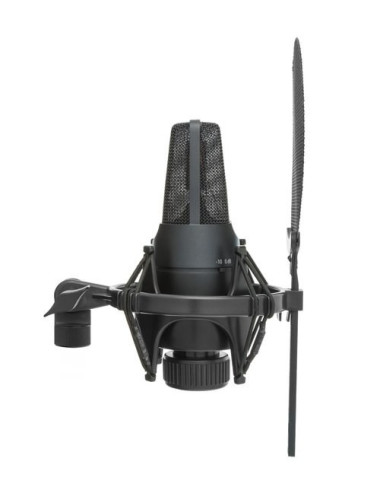 sE Electronics X1 S Vocal...