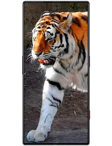 REDMAGIC 8S Pro 5G 12/256GB...