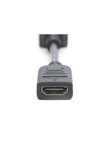 Digitus DisplayPort Adapter/Converter | AK-340400-001-S