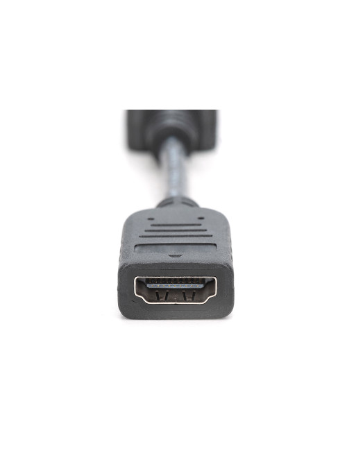 Digitus DisplayPort Adapter/Converter | AK-340400-001-S