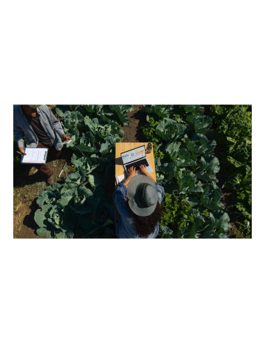 Apple MacBook | Pro | Silver | 16 " | 3456 x 2234 pixels | Apple M4 Pro | 24 GB | Solid-state drive capacity 512 GB | Apple M4 P