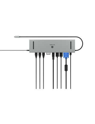 Raidsonic Docking Station | IB-DK2106a-CPD | Ethernet LAN (RJ-45) ports 1 | VGA (D-Sub) ports quantity 1 | HDMI ports quantity 2