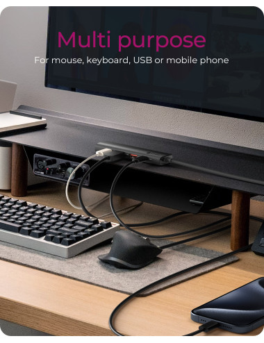 Raidsonic | 4-Port USB 3.2 Gen 2 Hub with Power Delivery | IB-HUB1437-CPD