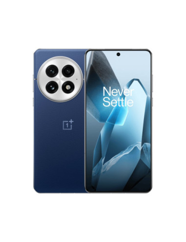 OnePlus 13 17.3 cm (6.82")...