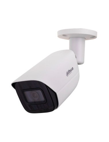 Dahua Technology WizSense...