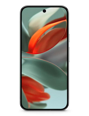 Google Pixel 9 Pro 16 cm...