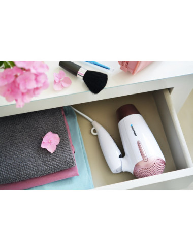 Blaupunkt HDD301RO hair...