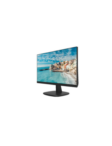 Monitor DS-D5024FN HIKVISION