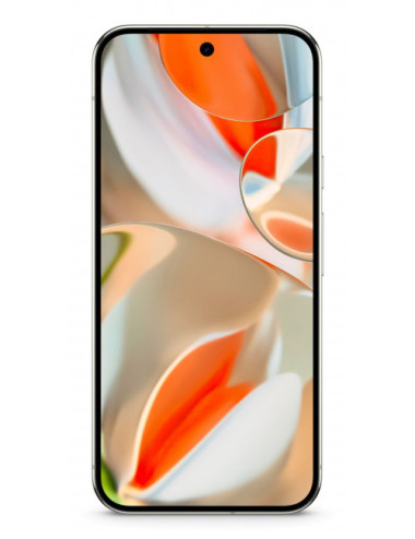 Google Pixel 9 Pro XL 17.3...