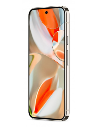 Google Pixel 9 Pro XL 17.3...