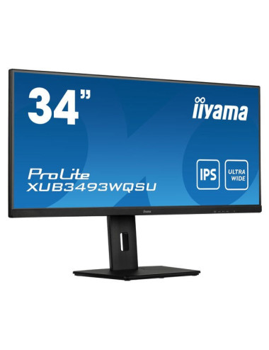 iiyama ProLite...