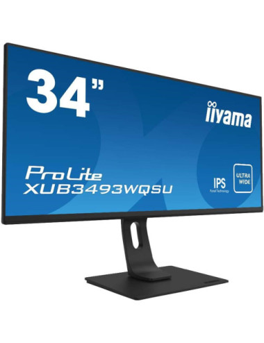 iiyama ProLite...