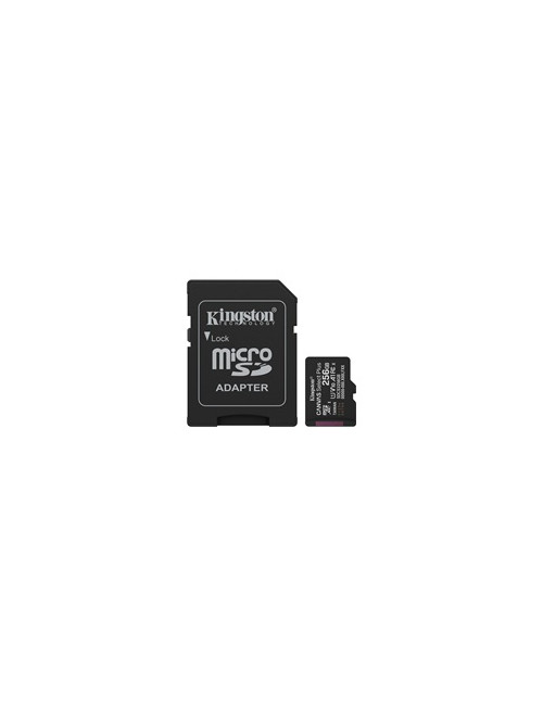 KINGSTON 256GB microSDXC Canvas Select